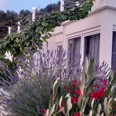 Vis - Luxury Holiday Villa With Swimming Pool エクステリア 写真