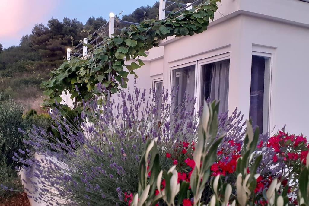 Vis - Luxury Holiday Villa With Swimming Pool エクステリア 写真