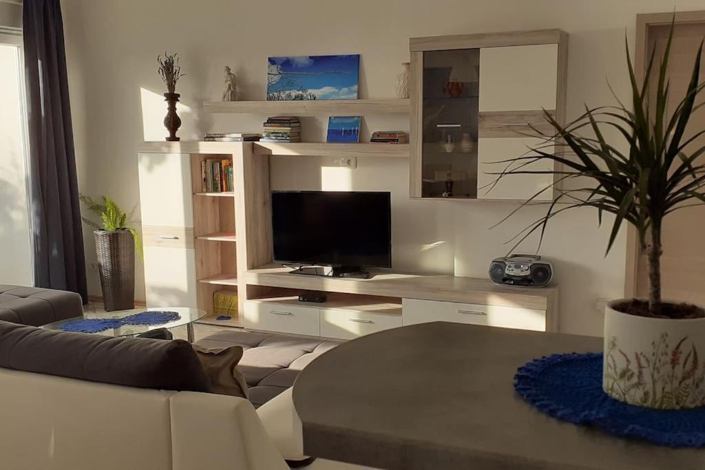 Vis - Luxury Holiday Villa With Swimming Pool エクステリア 写真